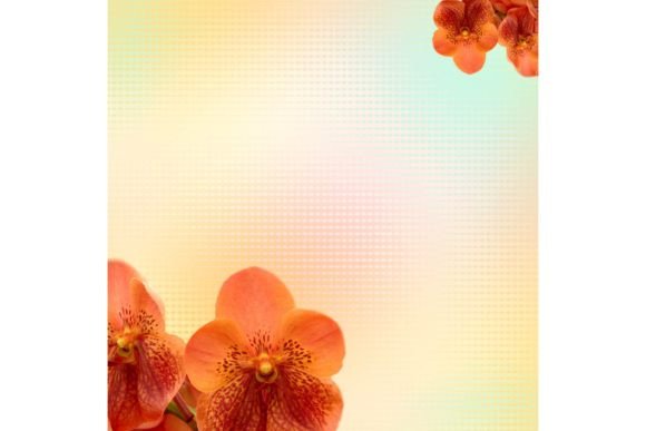 Background Design 421: A Versatile Tool for Modern Creativity and Productivity