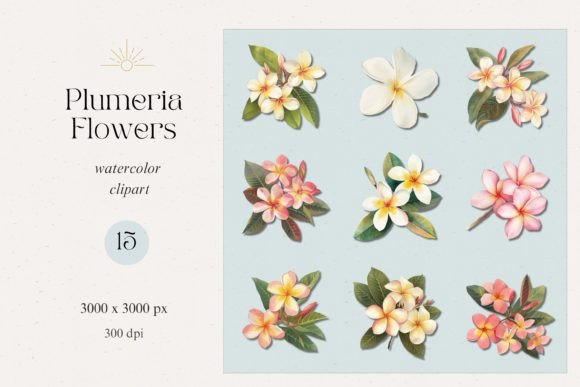 Plumeria Flowers Watercolor Clipart Set: Creative Uses