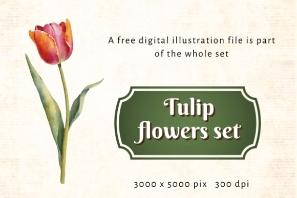 The Future of Workflow Automation: How Tulip is Reshaping Business and Creativity